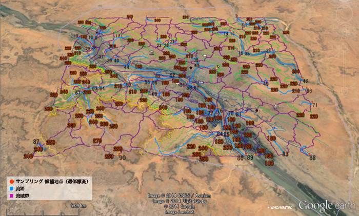 Analysis of virus survey sampling (Niamey, Niger)