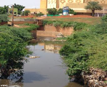 Example of sampling locations by WHO (Niamey, Niger)