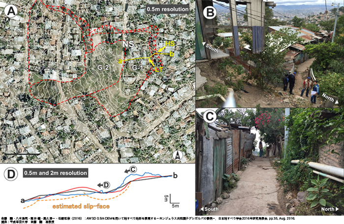 AW3D 50cm解像度を活用して「ホンジュラスの首都の市街地で地すべり危険地域の抽出」を実証